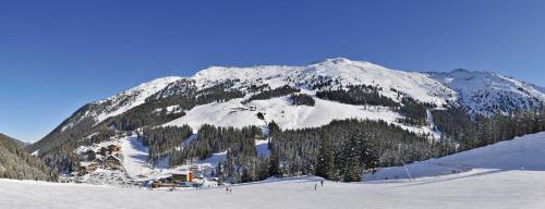a snow covered mountain with trees on a ski slope at Haus Martina in Hochfügen - ohne Verpflegung in Hochfugen