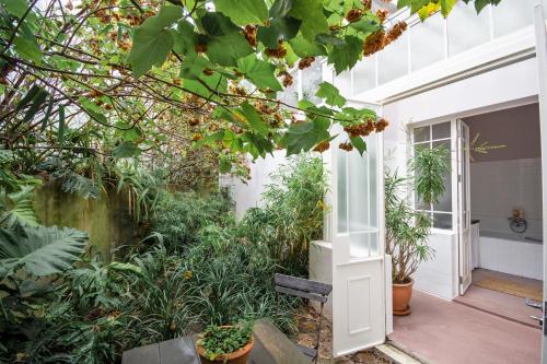 an open door to a garden with plants at Dorp Hotel in Cape Town