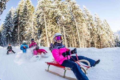 a group of people riding on a sleigh in the snow at Haus Martina in Hochfügen - ohne Verpflegung in Hochfugen
