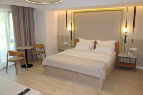 ein Hotelzimmer mit einem Bett, einem Tisch und Stühlen in der Unterkunft Hotel Anina in Techirghiol