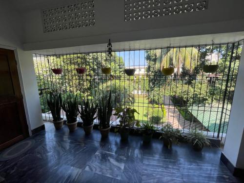 Gallery image of The Choudhury Manor Homestay in Guwahati