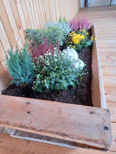 a wooden box with flowers and plants in it at Pircherhof - Adults Only am Biobauernhof in Pöllau