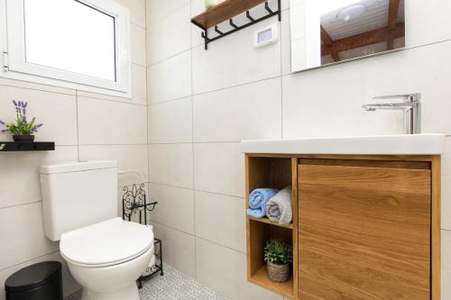 a bathroom with a toilet and a sink at אצלנו בחצר in Avnei Eitan