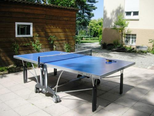 - une table de ping-pong bleue assise sur une terrasse dans l'établissement Aux Berges de la Thur, à Staffelfelden