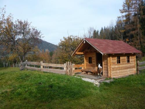a dog standing in front of a wooden dog house at Ferienhof Grossgrub in Vorderstoder