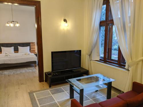 sala de estar con TV y sofá en Maria Deluxe Central Apartment en Timişoara