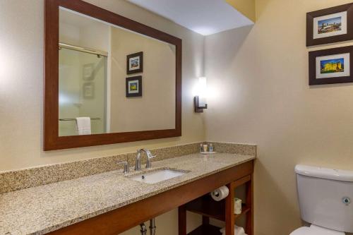 a bathroom with a sink and a mirror and a toilet at Comfort Suites Raleigh Walnut Creek in Raleigh