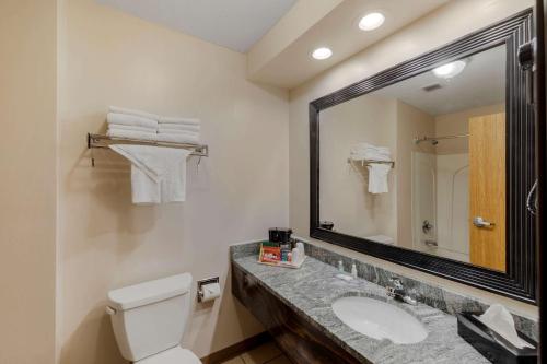 uma casa de banho com um WC, um lavatório e um espelho. em Quality Inn em Hamilton