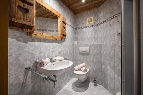 a bathroom with a sink and a toilet at Das Geierberg in Filzmoos