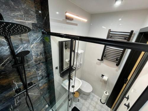 a bathroom with a shower and a toilet in it at Przytulne mieszkanie w centrum miasta in Radom