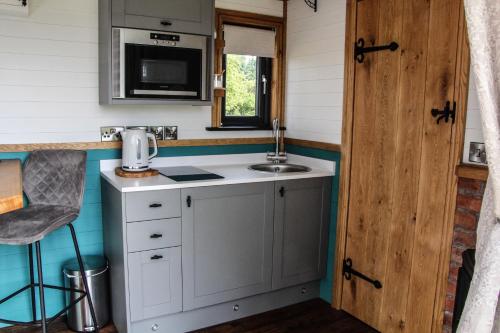 a small kitchen with a sink and a microwave at Cwm Cariad in Knighton