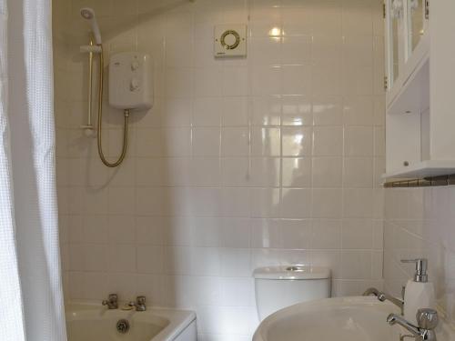 a bathroom with a shower and a toilet and a sink at Tyr Eithin Bach in Pont Yates