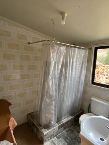 a bathroom with a shower with a toilet and a sink at Cabaña a 8 km de Cerro Castillo. in Villa Cerro Castillo