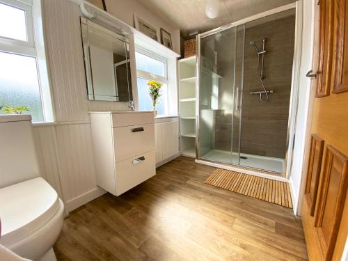 een badkamer met een douche, een toilet en een wastafel bij Corderry Farmhouse, idyllic cottage amid 250 acres in Stagdale Bridge
