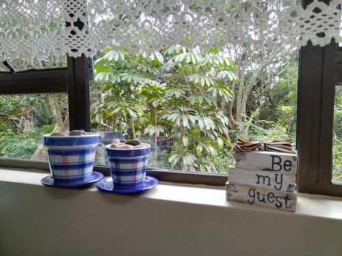 two blue and white vases sitting on a window sill at Dollies place in Bazley Beach