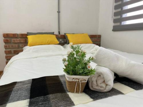 a bed with a blanket and a plant on it at Ipoh Family Homestay Masjid Muhammadiah Evicharger SY16 in Ipoh