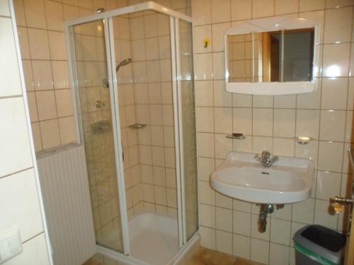uma casa de banho com um chuveiro e um lavatório. em Ferienhaus 1 em Auberg