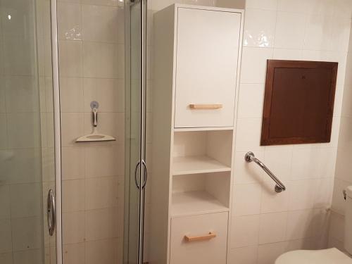 une cabine de douche avec des toilettes et une porte en verre dans l'établissement Charmant 3 pièces pour 6 pers. avec piscine, balcon, parking souterrain et accès pistes à Valloire - FR-1-263-490, à Valloire