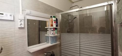 łazienka z prysznicem, umywalką i lustrem w obiekcie Karancs Apartman Salgótarján w mieście Salgótarján