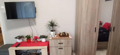 a room with a tv and a table with plants at Karancs Apartman Salgótarján in Salgótarján