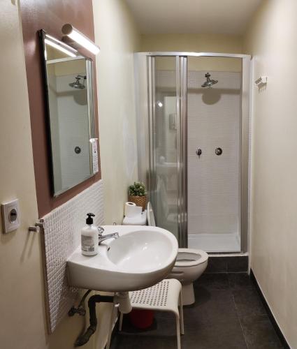 a bathroom with a sink and a toilet and a shower at Guest House Barcelona Bruc in Barcelona