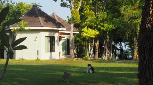 two cats sitting in the grass in front of a house at Avare Seaside House Krabi in Ao Nam Mao