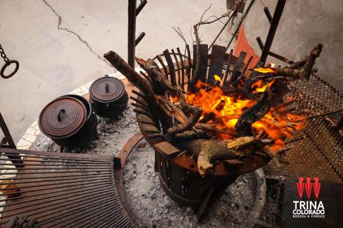 a fire in a grill next to some logs at Bodega Trina Suites in Río Colorado