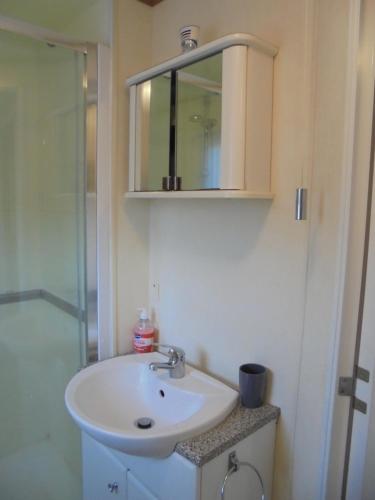 a bathroom with a sink and a mirror and a shower at 6 Berth heated on The Chase Brisbane in Ingoldmells