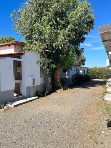 Gallery image of Camping Village Torrenova in Cirò Marina