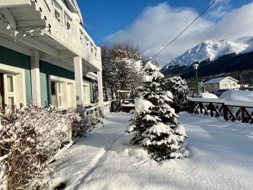 un árbol cubierto de nieve frente a una casa en Hotel Campanilla en Ushuaia