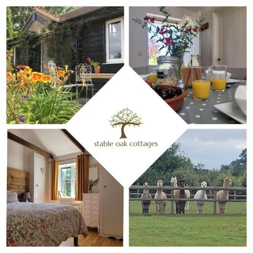 a collage of pictures of a house with a tree at Willow Cottage in idyllic location in Kent