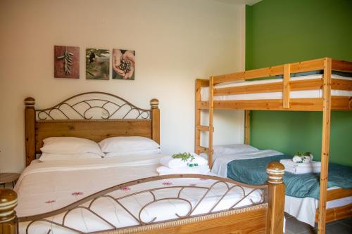 two bunk beds in a room with green walls at Anastasios Olive Garden Apartments in Petalidi
