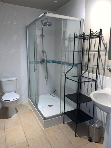 une salle de bain avec une douche avec des toilettes et un lavabo dans l'établissement Au p’tit bonheur d’Augé Maison, à Augé