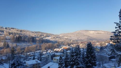 a town covered in snow with a mountain in the background at Willa Widokowa in Wisła