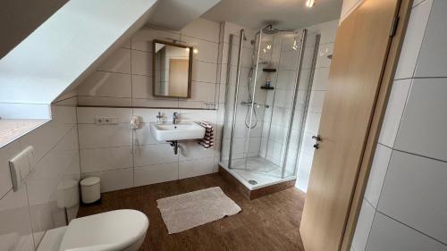 e bagno con doccia, servizi igienici e lavandino. di Hotel & Restaurant Zum Karpfen a Obernburg am Main