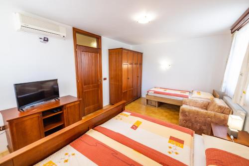 a living room with a television and a couch at Apartments Galunder in Veržej