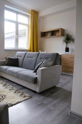 a living room with a gray couch in a living room at Central Apartments in Martin
