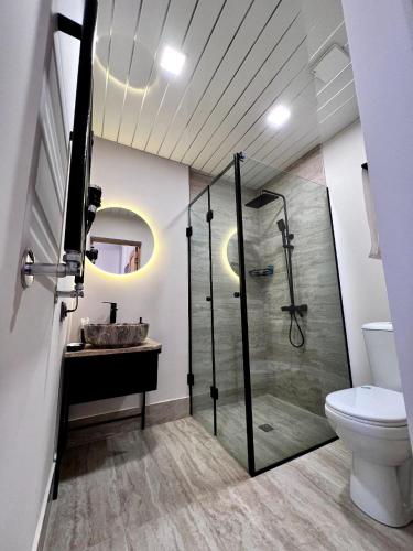 a bathroom with a shower and a sink and a toilet at Sargsyan ECO house in Sevan