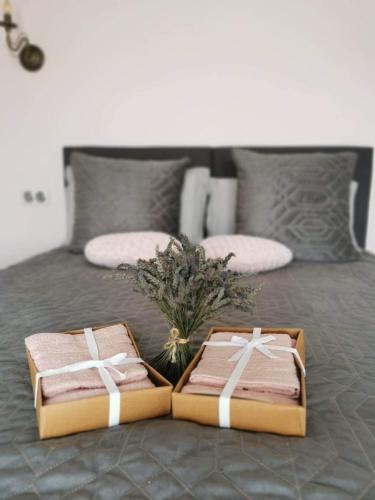 Katil atau katil-katil dalam bilik di Appartements Vallée Verte