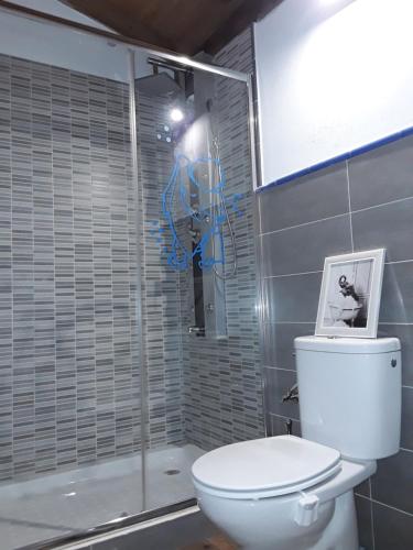 a bathroom with a toilet and a shower with blue graffiti at Casa Matilde in Proaza