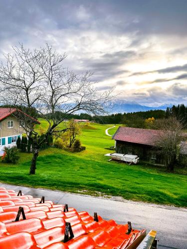 a group of birds sitting on the side of a road at Hotel Bergstätter Hof in Immenstadt im Allgäu