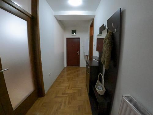 Телевизор и/или развлекательный центр в Apartman City Center AN Trebinje