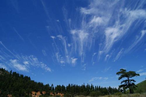 a blue sky with clouds and a tree on a hill at Caserio Los Partidos in San Jose De Los Llanos