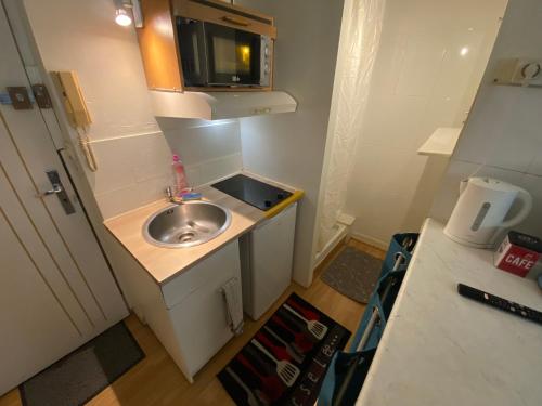 une petite cuisine avec un évier et un micro-ondes dans l'établissement Le Past 43 - Fibre wifi - Proche Centre ville & Gare, à Troyes