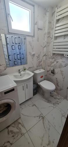 a bathroom with a toilet sink and a washing machine at Mavrovo Square " Villas & Apartment " in Mavrovo