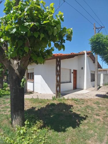 un edificio blanco con un árbol delante en La rivera en Necochea