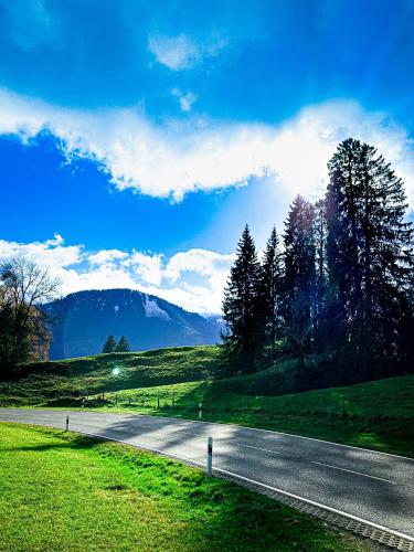 an empty road with trees and mountains in the background at Hotel Bergstätter Hof in Immenstadt im Allgäu