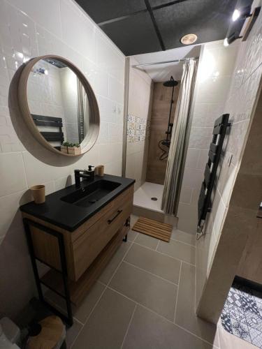 une salle de bain avec un lavabo et une douche avec un miroir dans l'établissement Gîte Les Lauriers, à Colmar