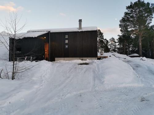 Huset ved skogen durante el invierno