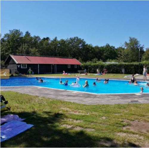 a group of people in a swimming pool at Chalet Olm 22 in Zoerte
